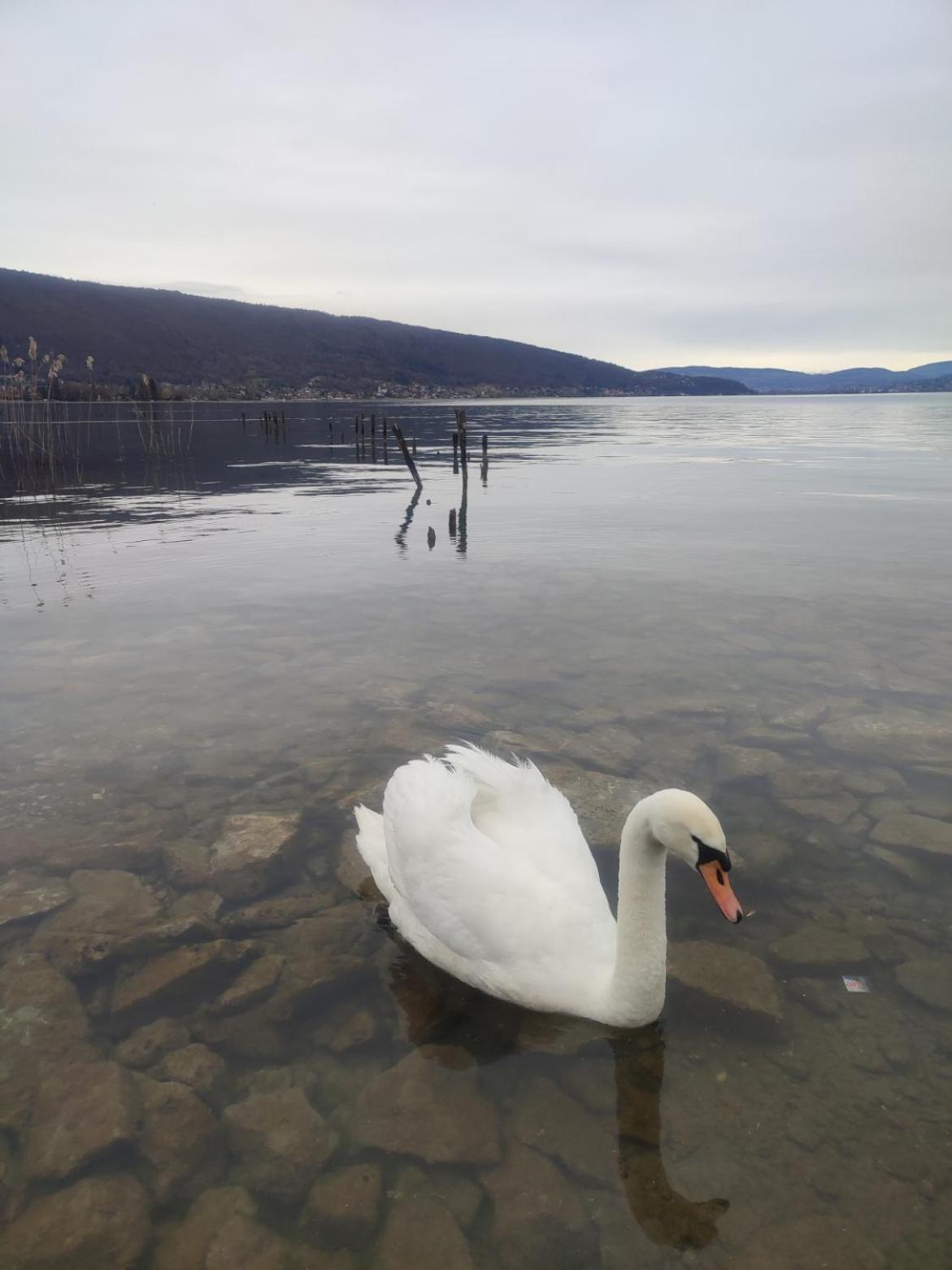 Chambre Atypique 2 Pers 200M Du Lac Сен-Жорйо Екстер'єр фото